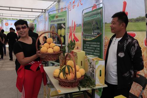 庆丰收　展新貌