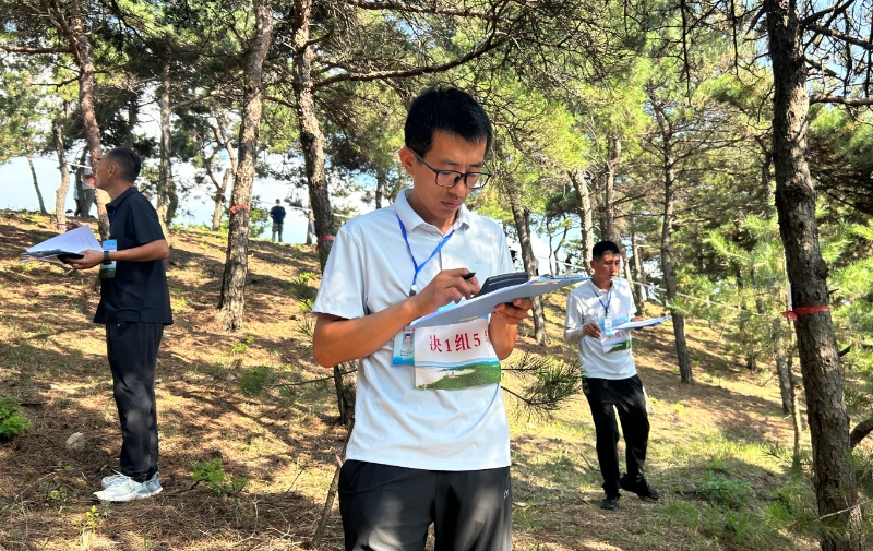 林业苗木供应：绿色经济的新引擎