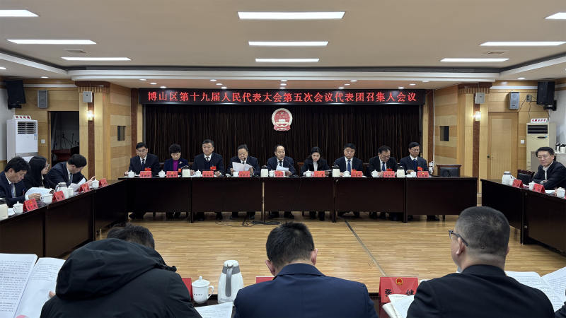 聚焦两会｜博山区十九届人大五次会议各代表团召集人会议召开