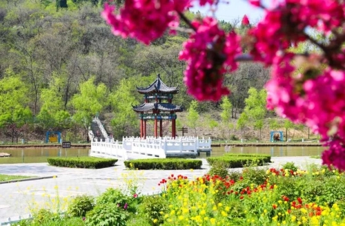 博山邀您赴一场繁花之约