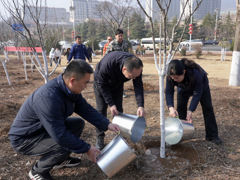 博山区组织开展义务植树抚育管护活动